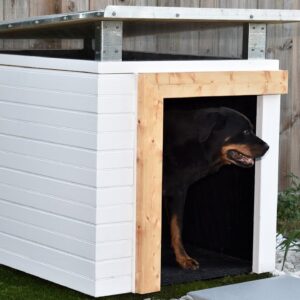 How to Make A Dog House Part 1 | DIY Build