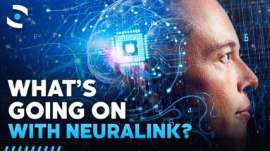 What's Going On With Neuralink?