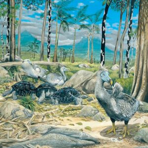 Dodos were fast and powerful, not slow and inept, definitive preserved specimen suggests