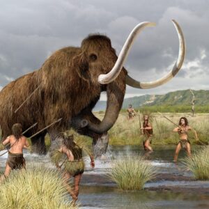 1st Americans impaled and killed mammoths with pikes, not spears, study suggests