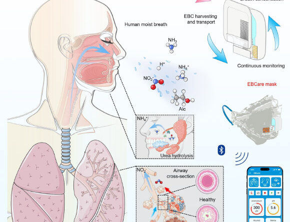 EBCare: New Smart Mask Can Be Used to Assess Metabolic and Respiratory Conditions