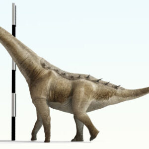 Paleontologists Discover New Species of Titanosaur in Spain