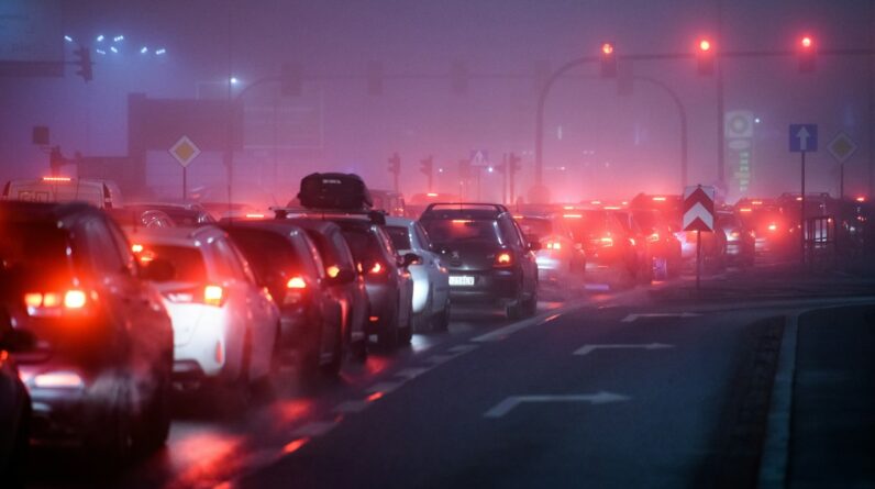 Pollution harms men’s fertility, but traffic noise affects women’s