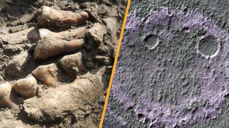 Science news this week:  ‘Thorin’ the last Neanderthal and a ‘smiley face’ on Mars