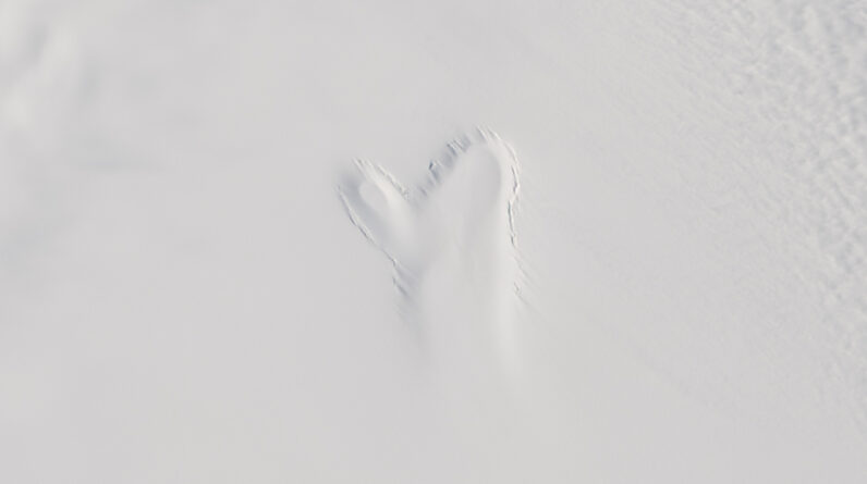 Earth from space: Ghostly figure emerges in Greenland ice after underground lake collapses