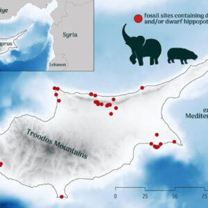 Paleolithic Humans Caused Extinction of Dwarf Hippos and Elephants on Cyprus