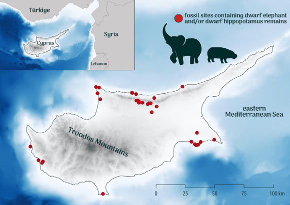 Paleolithic Humans Caused Extinction of Dwarf Hippos and Elephants on Cyprus