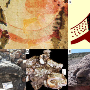 Strange Tusked Animal in South African Rock Art is Permian Dicynodont, Scientist Claims