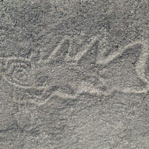 ‘Knife-wielding orca’ and alien-looking figures among 300 Nazca Lines discovered in groundbreaking AI study