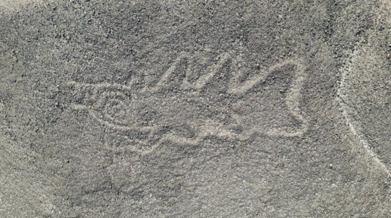 ‘Knife-wielding orca’ and alien-looking figures among 300 Nazca Lines discovered in groundbreaking AI study