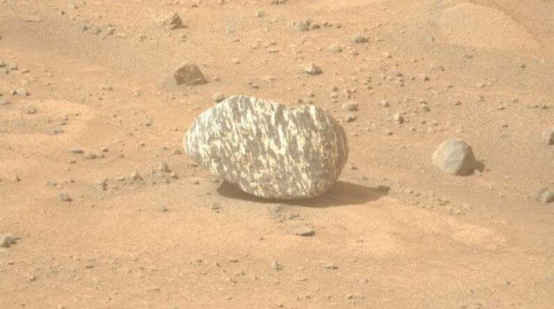 Weird ‘zebra rock’ on Mars is unlike anything seen before on Red Planet, NASA says