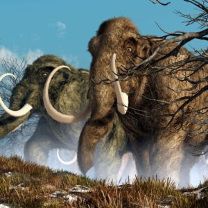 Pollen allergies drove woolly mammoths to extinction, study claims