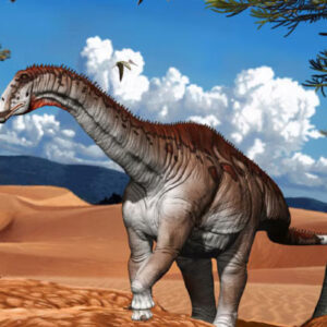 Paleontologists Unveil New Species of Sauropod Dinosaur