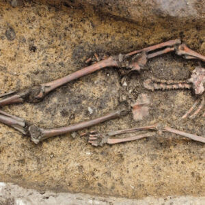 50 Viking Age burials discovered in Denmark, including a woman in a rare ‘Viking wagon’