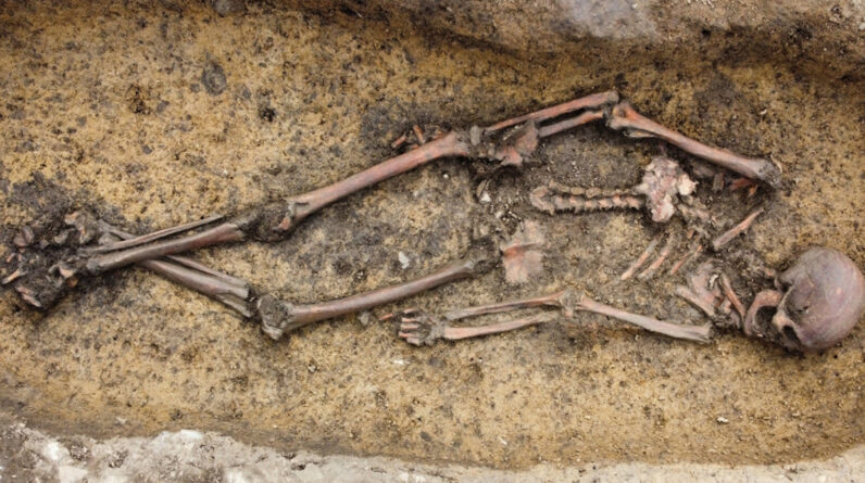 50 Viking Age burials discovered in Denmark, including a woman in a rare ‘Viking wagon’