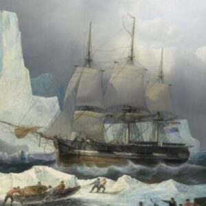 Franklin expedition captain who died in 1848 was cannibalized by survivors