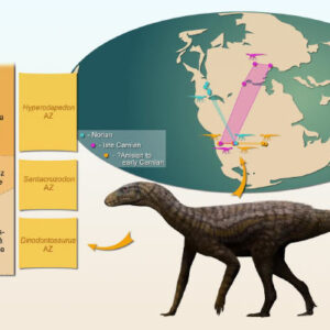 New Species of Dinosaur Relative Discovered in Brazil