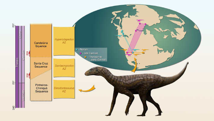 New Species of Dinosaur Relative Discovered in Brazil