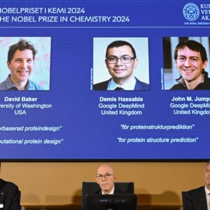 2024 Nobel Prize in chemistry awarded to scientists who revealed a ‘completely new world of protein structures’