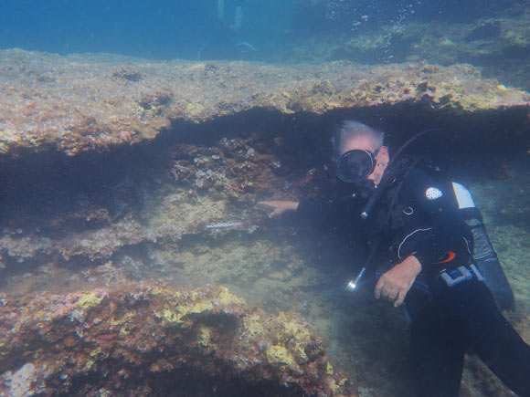 Coastal and Underwater Sites Contain Clues about Early Migrants to Sicily, Archaeologists Say