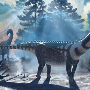 New Sauropod Dinosaur Discovered in Wyoming: Ardetosaurus viator