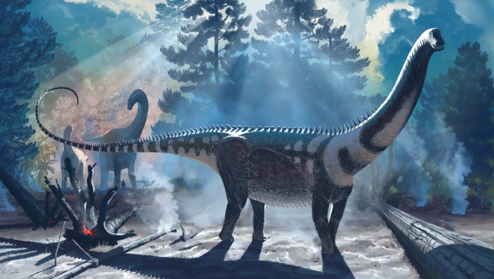 New Sauropod Dinosaur Discovered in Wyoming: Ardetosaurus viator