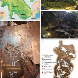 New Excavations Provide Insights into Early Human Activity in Jungles of Laos