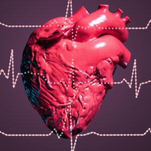 How many times does a heart beat in a day? What about in a lifetime?