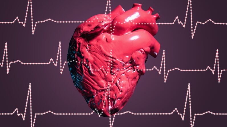 How many times does a heart beat in a day? What about in a lifetime?