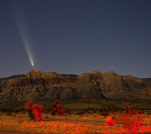 Two comets will be visible in the night skies this month