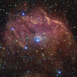 VST Sees Newborn Stars in Gum 39