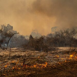 ‘We are teetering on a planetary tightrope’: Cut emissions in half right now to prevent climate catastrophe, UN warns