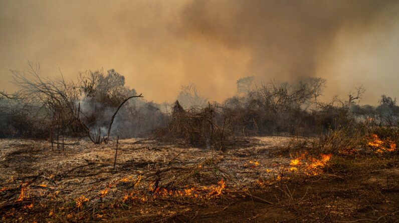 ‘We are teetering on a planetary tightrope’: Cut emissions in half right now to prevent climate catastrophe, UN warns