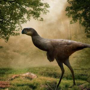 New Oviraptorosaur Species Discovered in China