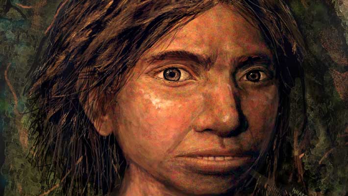 Several Denisovan Populations Introgressed into Modern Humans Multiple Times: Study