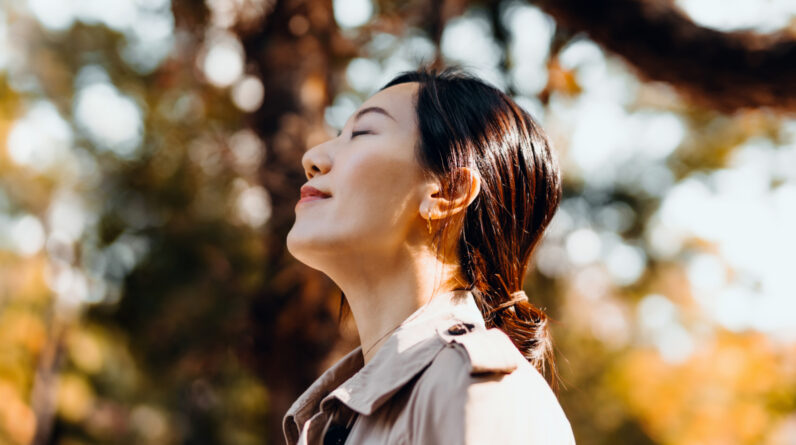 ‘A direct relationship between your sense of sight and recovery rate’: Biologist Kathy Willis on why looking at nature can speed up healing