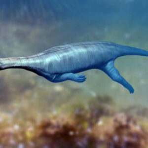 New Species of Triassic Marine Reptile Discovered