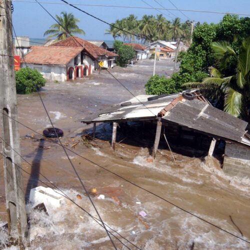 Tsunami live location