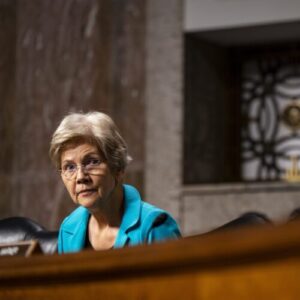 Elizabeth Warren calls for crackdown on Internet “monopoly” you’ve never heard of