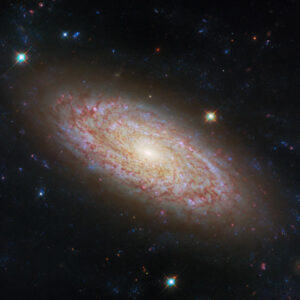 Hubble Space Telescope Looks at Flocculent Spiral: NGC 2090