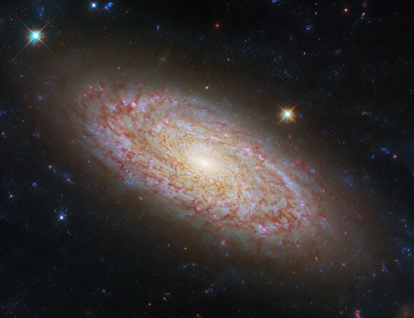 Hubble Space Telescope Looks at Flocculent Spiral: NGC 2090