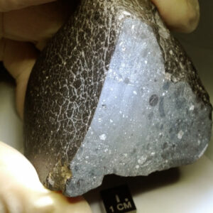 Meteorite Provides Evidence for Hydrothermal Activity on Ancient Mars