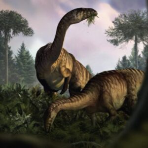 What fossilized dino feces can tell us about their rise to dominance