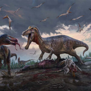 Fossilized Teeth Highlight Theropod Dinosaur Diversity in Prehistoric East Sussex