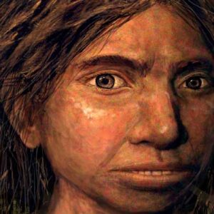 New Species of Archaic Human Proposed: Homo juluensis