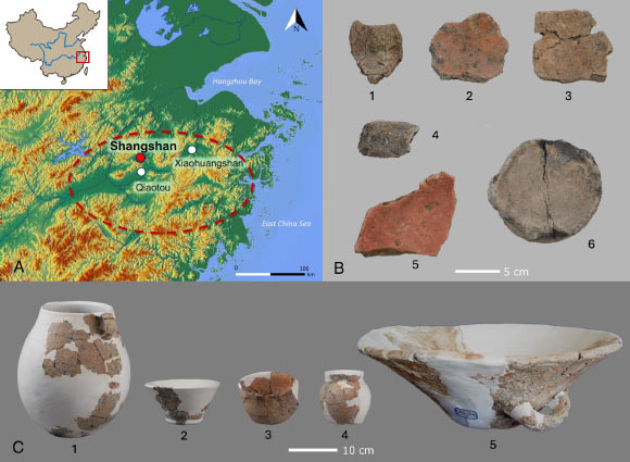 Traces of 10,000-Year-Old Rice Beer Found in China