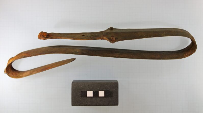 Ritually bent Bronze Age sword unearthed in Danish bog is ‘very rare find’