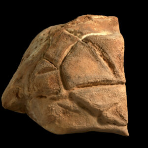 35,000-year-old ‘tortoise shell’ carving may be Holy Land’s oldest evidence of ritual behavior