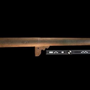 Oldest firearms ever found in US were abandoned by Spanish in 16th-century battle against Native Americans