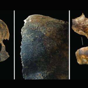 4,000-year-old bones reveal ‘unprecedented’ violence — tongue removal, cannibalism and evisceration in Bronze Age Britain